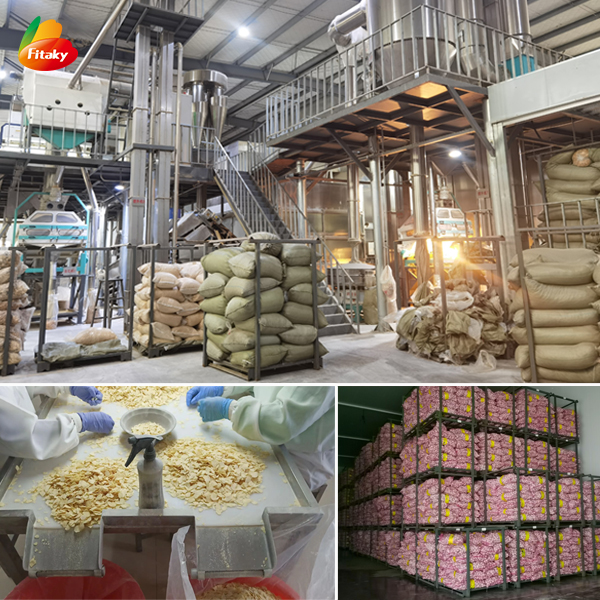 Dehydrated garlic flakes Dehydrated garlic flakes