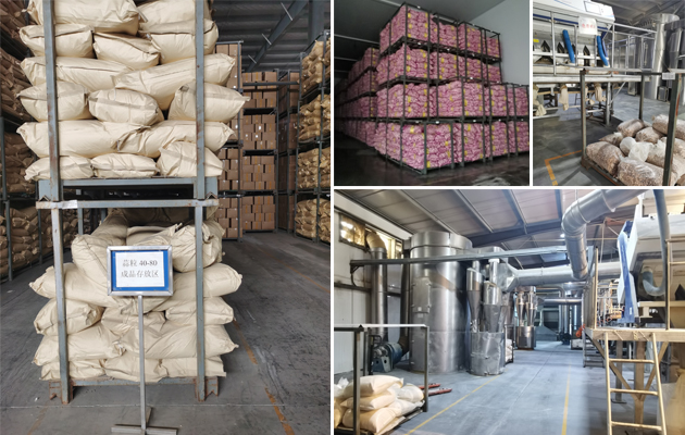 Dried minced garlic making factory Dried minced garlic making factory