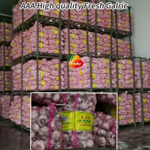 High quality fresh garlic